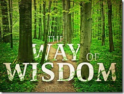 way-of-wisdom-the_t_nv